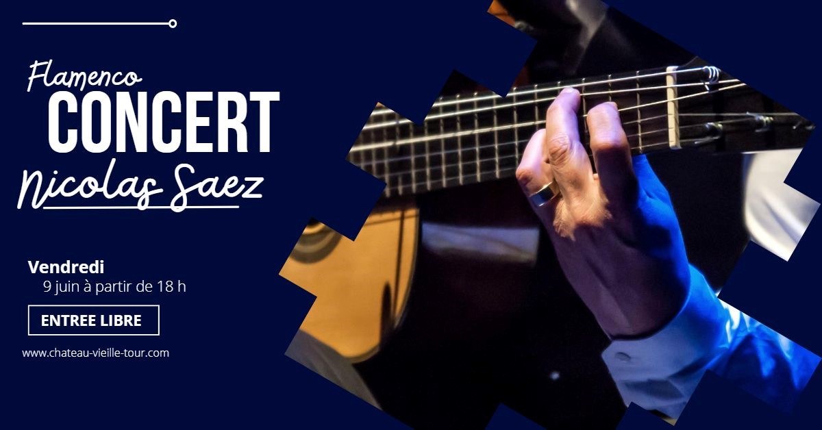 Guinguette Vigneronne - Concert Nicolas Saez (trio guitare flamenco)