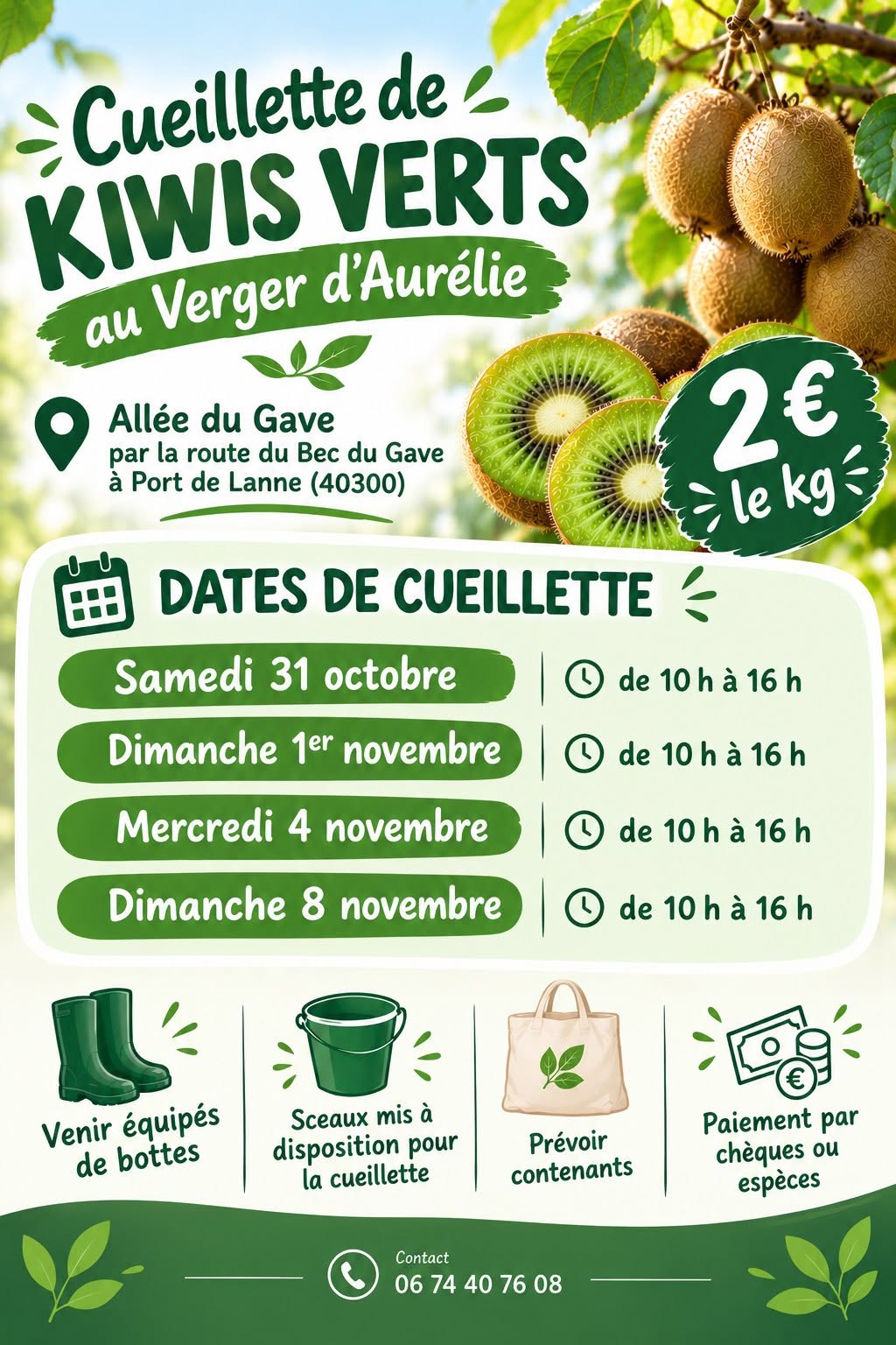 Cueillette de Kiwis Verts