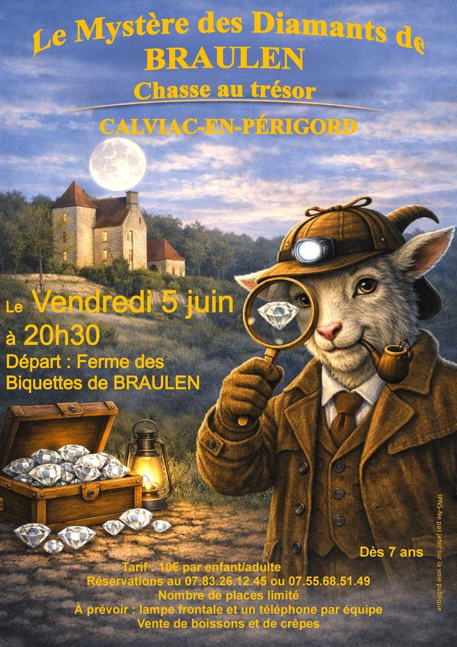 Le mystère des diamants de BRAULEN