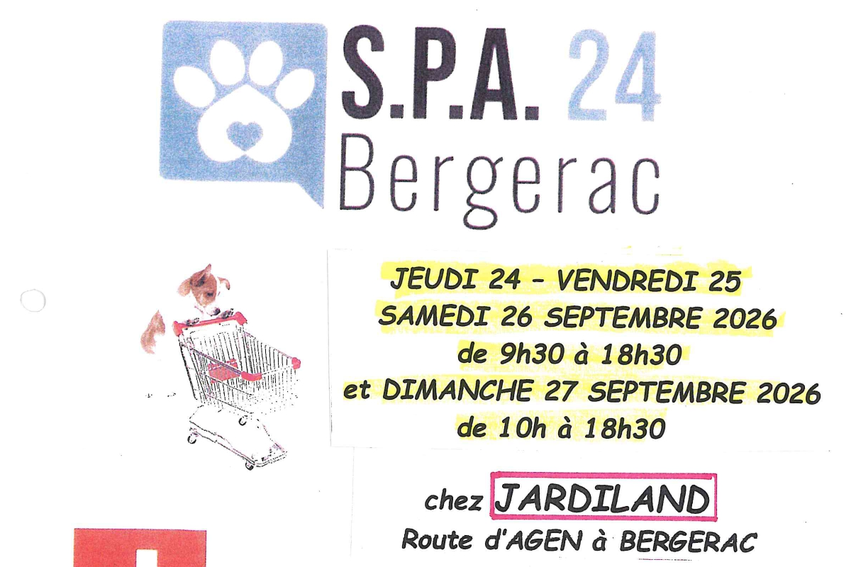 SPA | Collecte pour les animaux