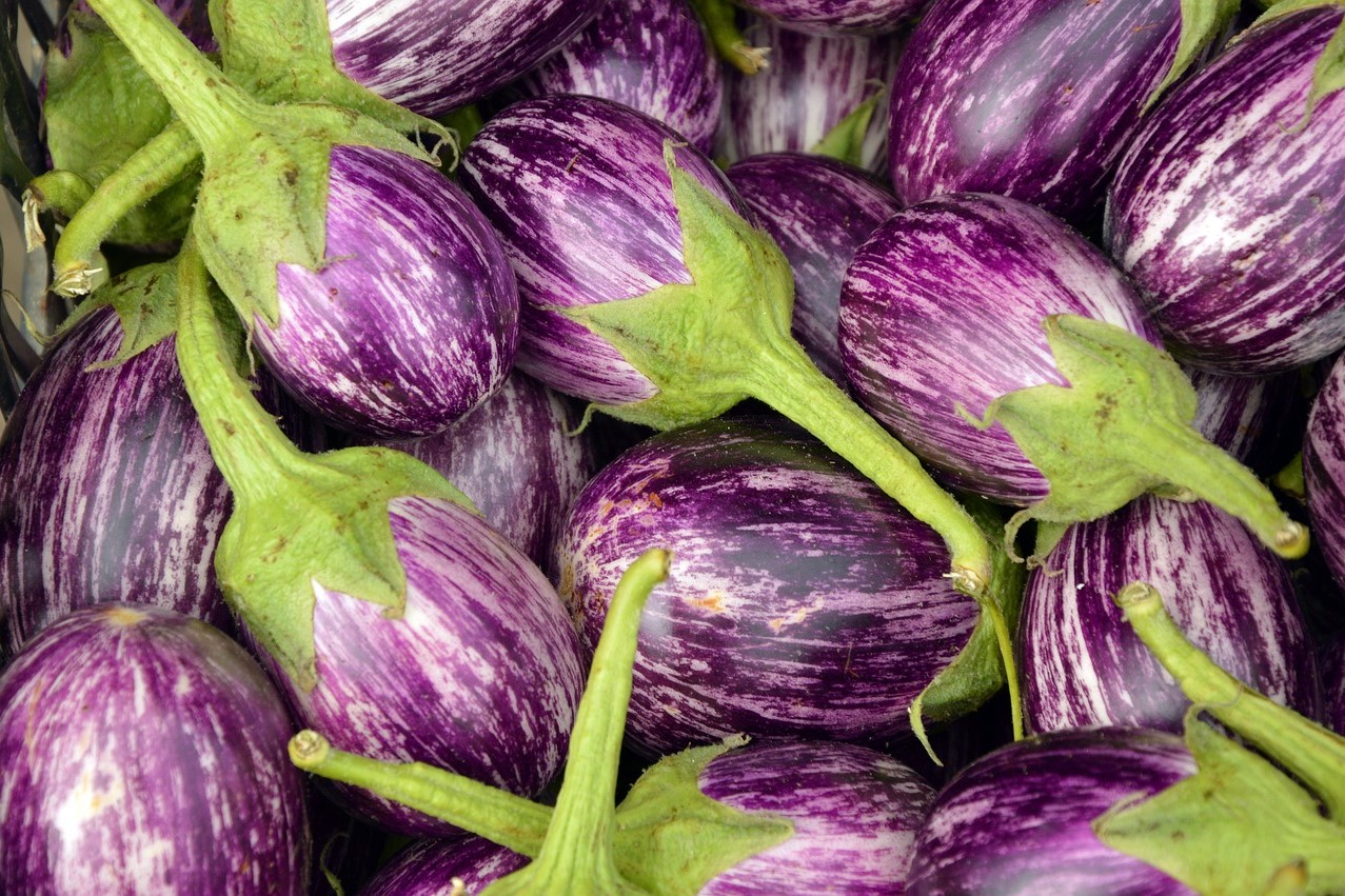 eggplant-3758698_1280