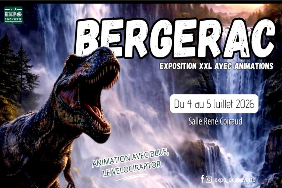 Exposition | L'histoire des dinosaures