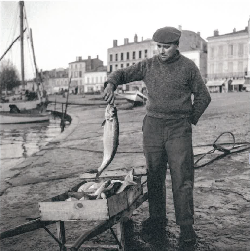 Exposition "La photo humaniste à Blaye"