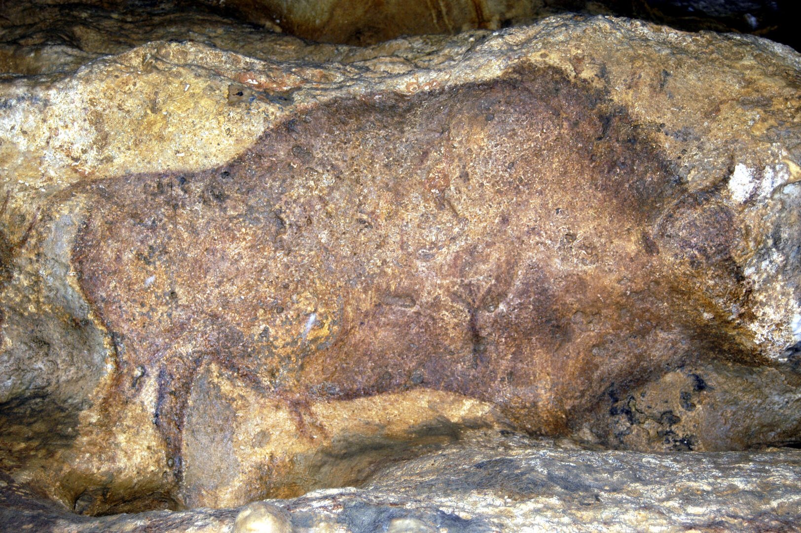 Journées européennes du patrimoine à la Grotte ...