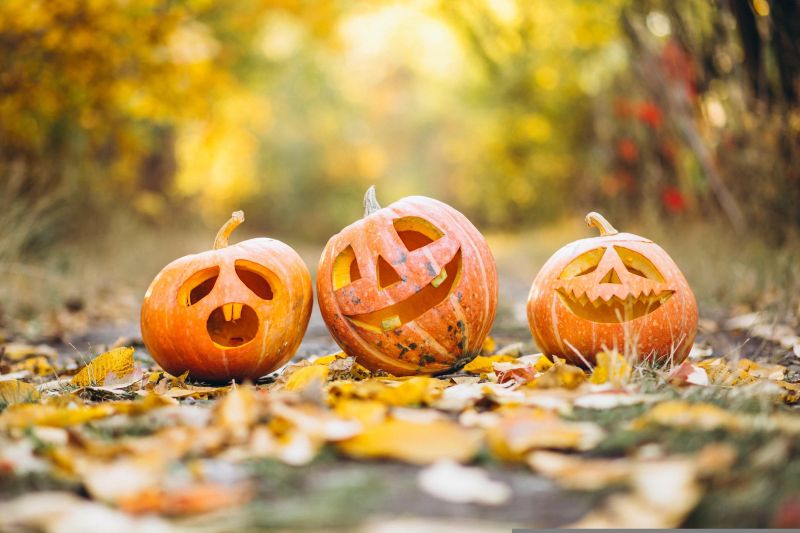 Halloween au Château escape game de Marzac