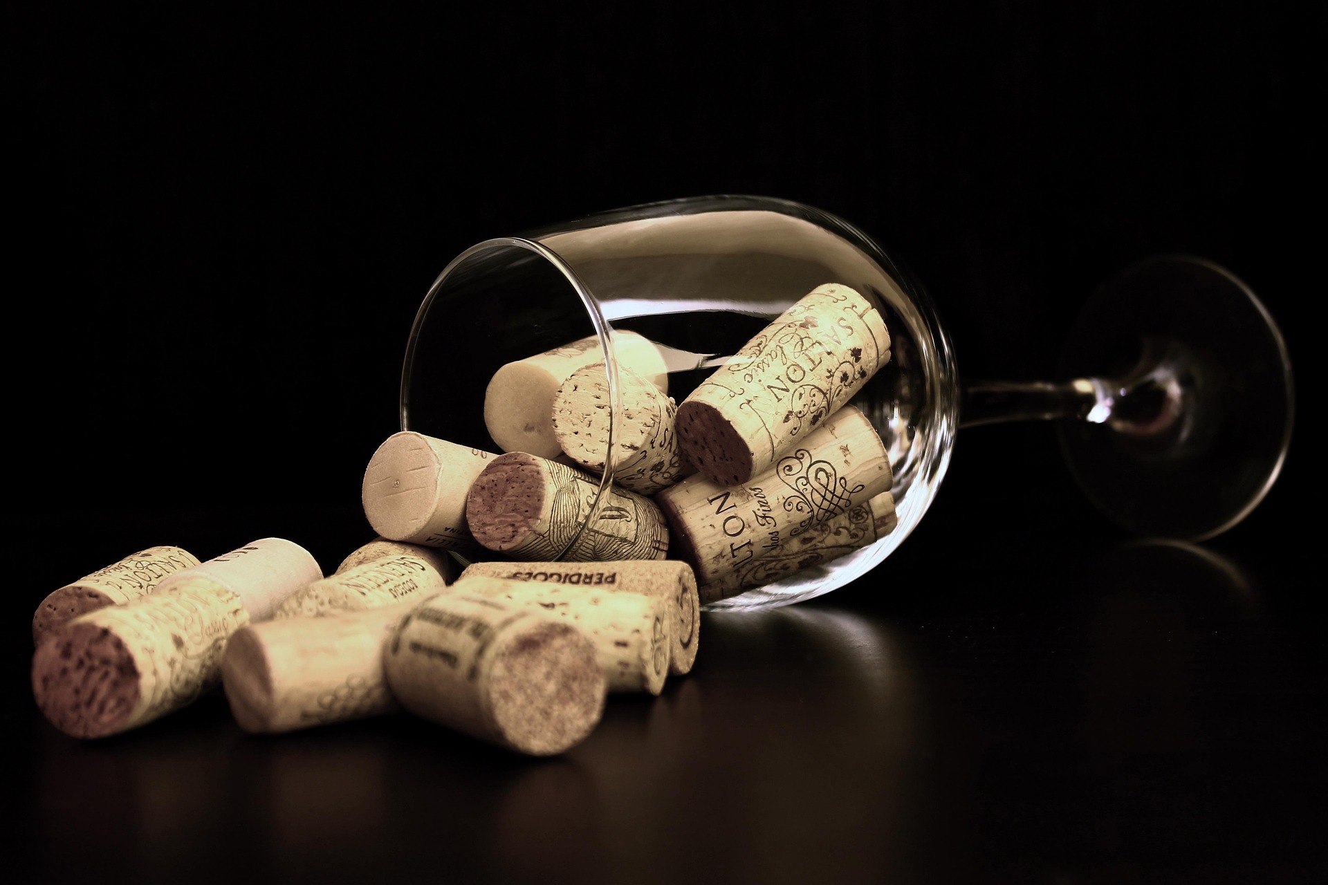 Dégustation en Aparté : à la découverte des vins du Médoc