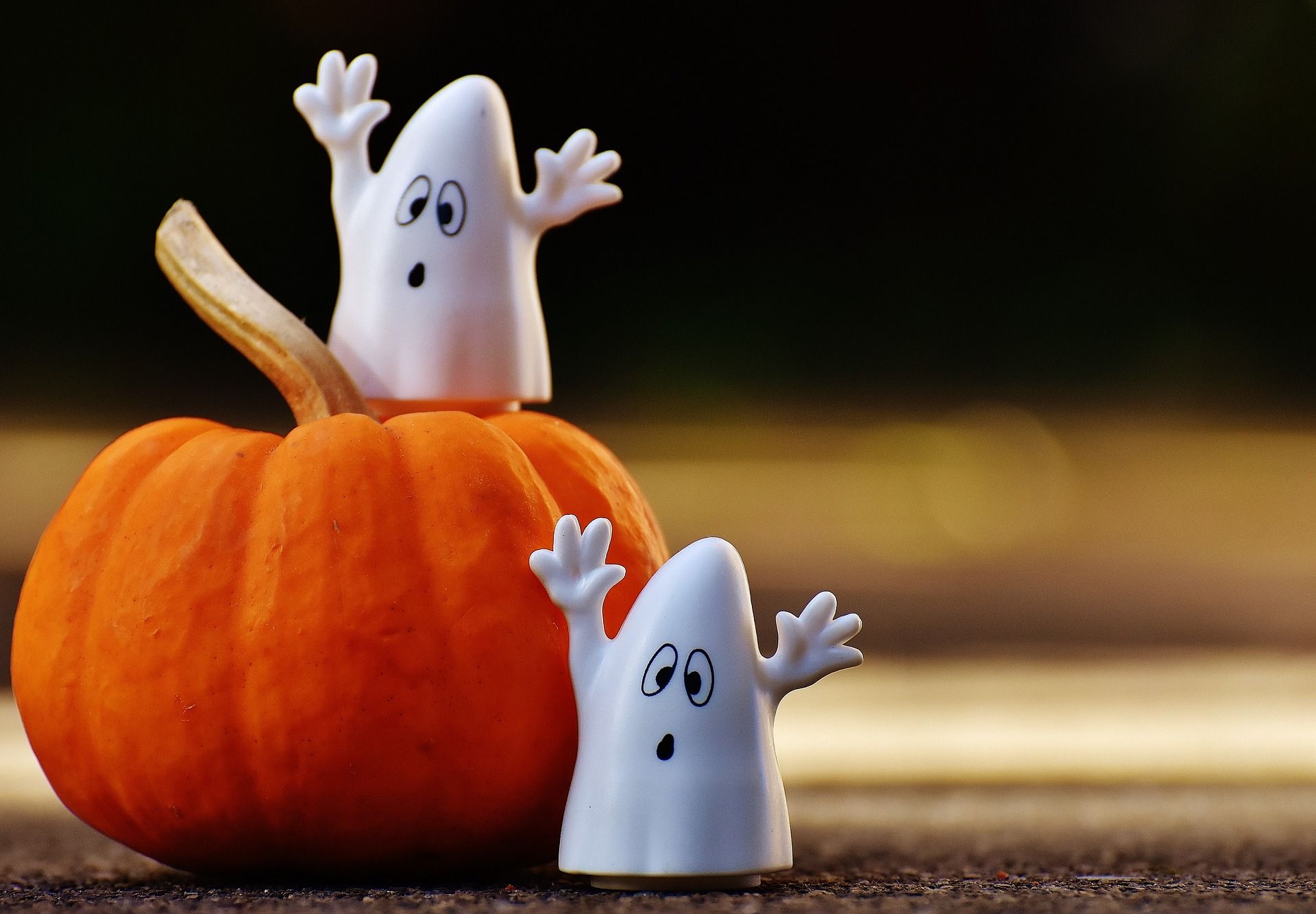 Fête d'Halloween