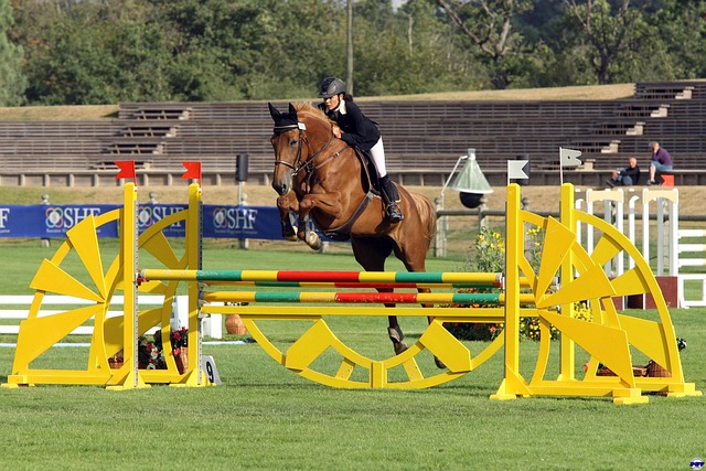 Concours Hippique :Prépa poney club