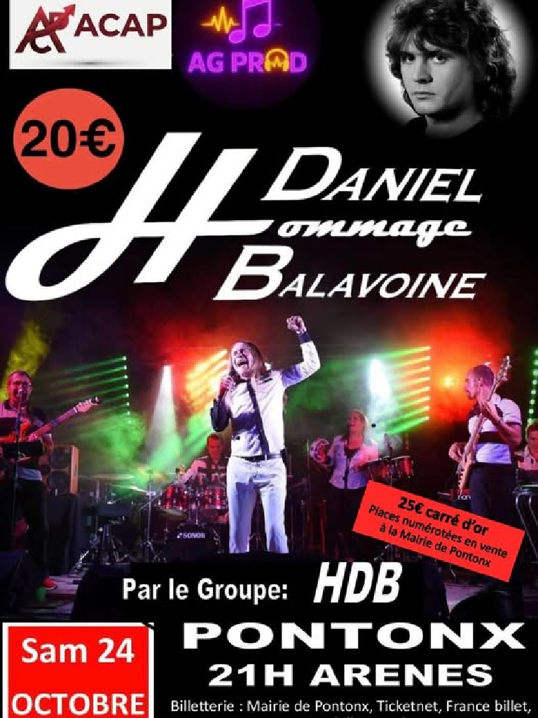 Concert Hommage à Daniel Balavoine