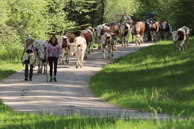 Ciné débat "Kelly et les bergères" en présence de l'autrice FLorence Debove
