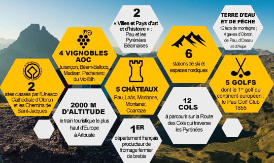 infographie Pau - Pyrénées