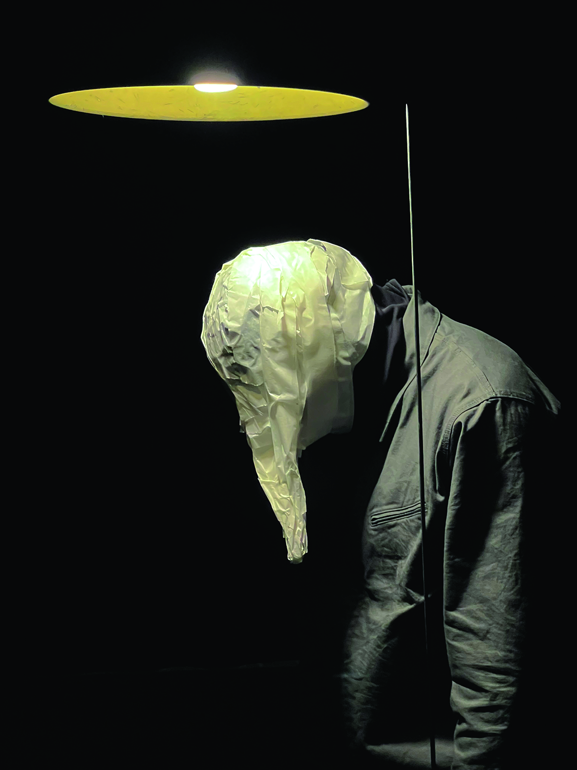 Spectacle « Insula »
