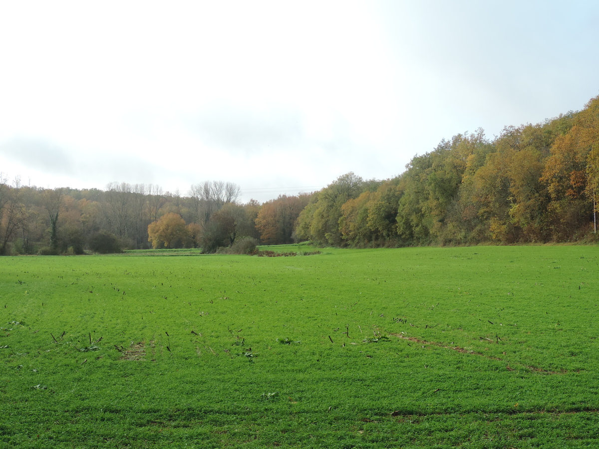 Boucle des Bernardies à Simeyrols