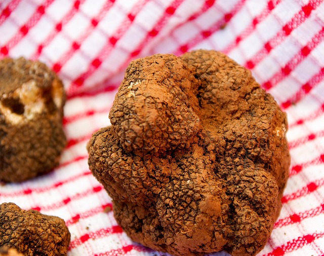 Marché aux truffes d'été