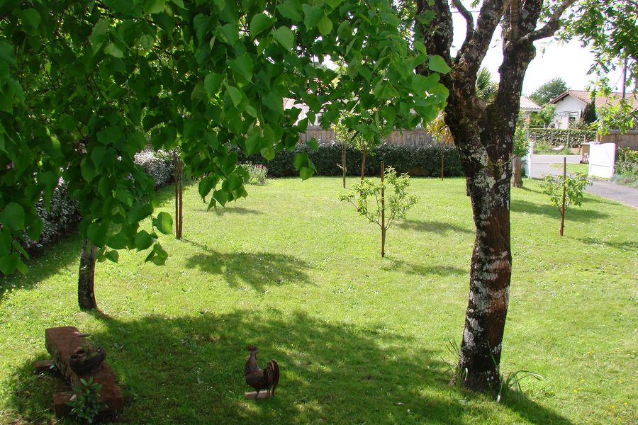 jardin--800x600--6.jpg