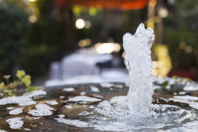Conférence : Mémoire de l'eau