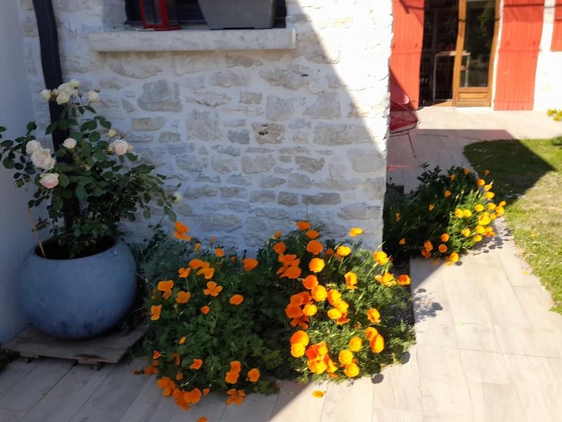 Chambre d'hôtes La Datcha