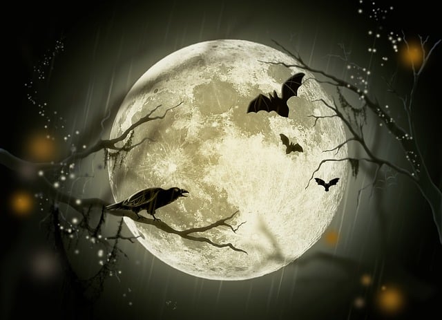 Halloween : film " Wolfman " et soirée costumée