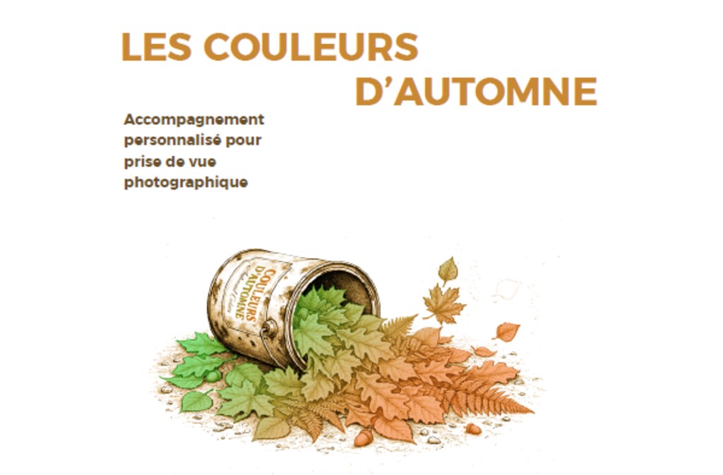 Balade | Les couleurs d'automne