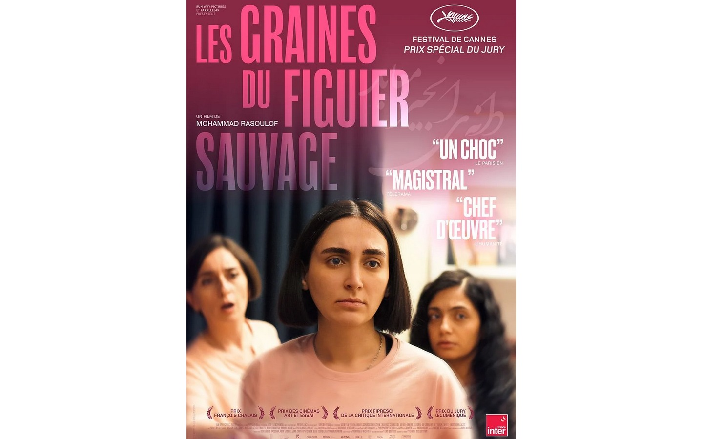 Un été au ciné - Les graines du figuier sauvag ...