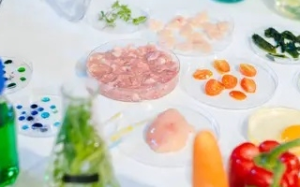 Les Marmandises éclairées et gourmandises