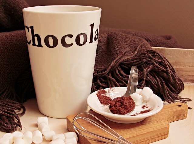 13 ème Salon du Chocolat