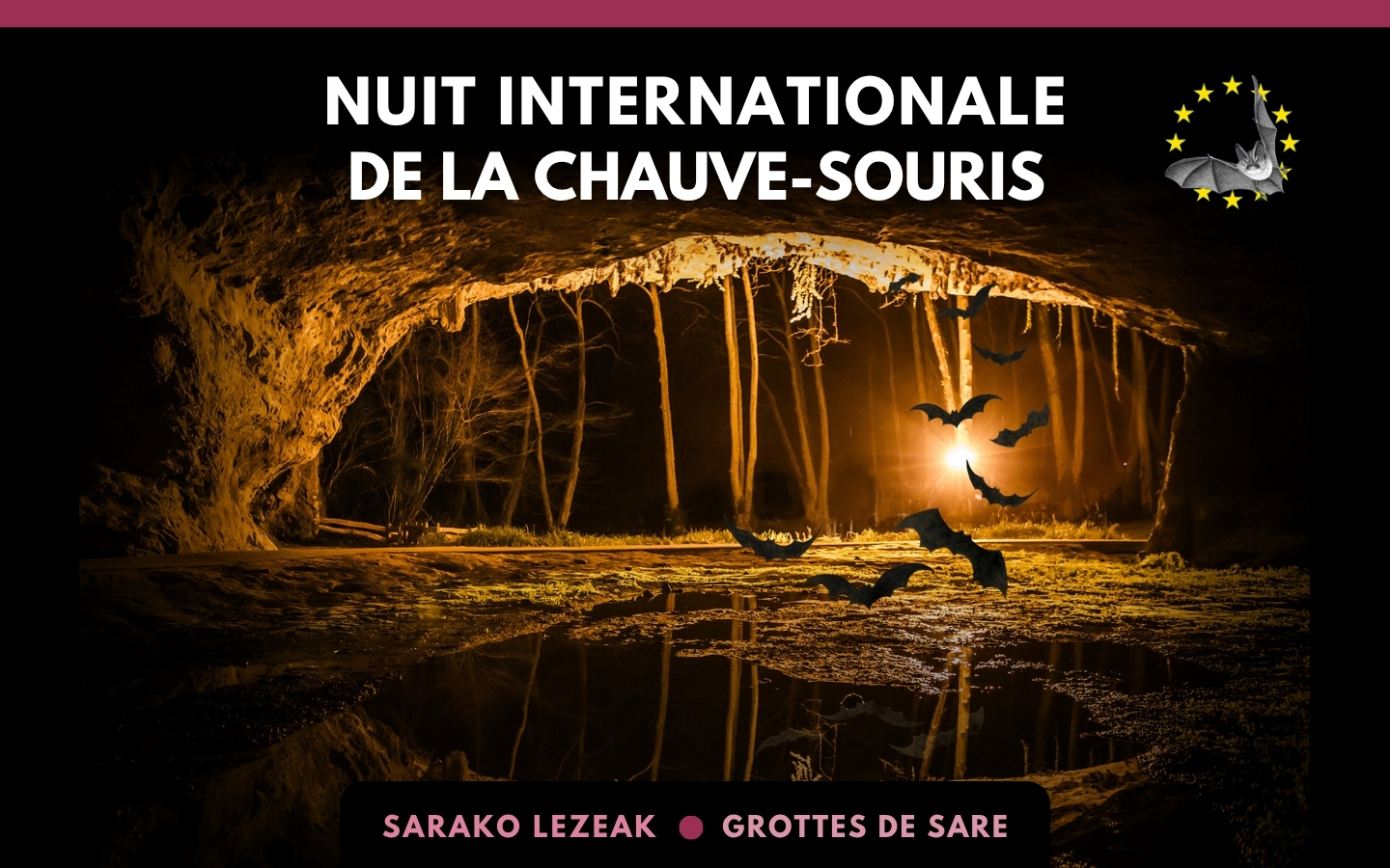 Nuit internationale de la chauve-souris 2026