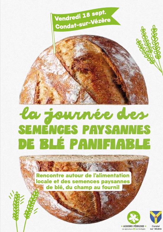La journée des semances paysannes de BLE panif ...