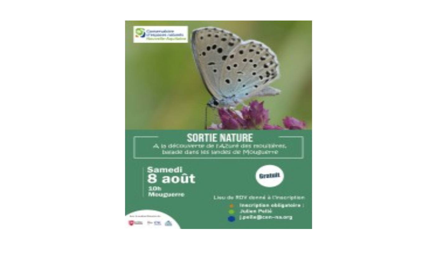 Sortie Nature
