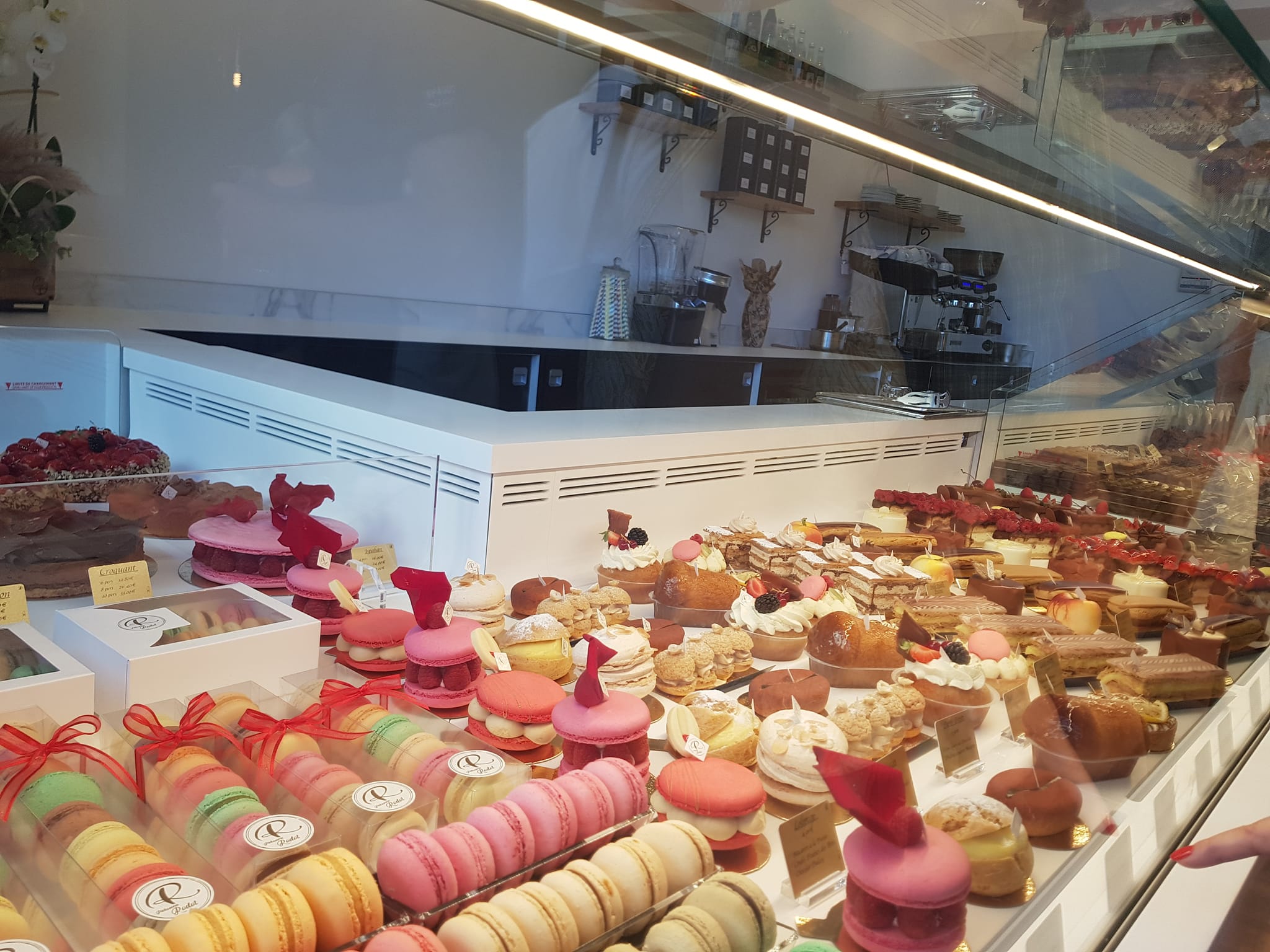 Rhodoid pâtisserie⎪ecoledepatisserie-boutique®