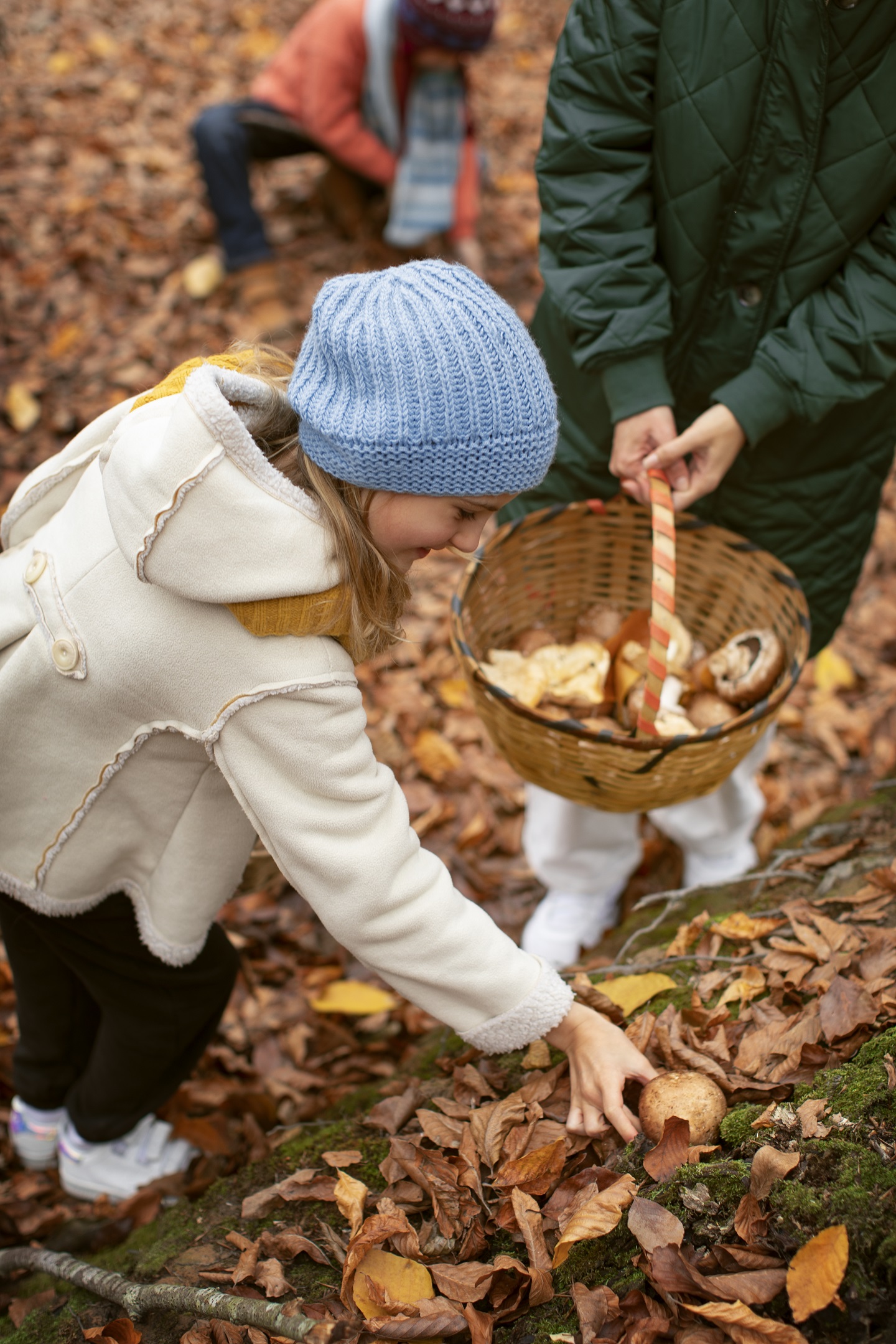 Découverte des champignons d'automne !
