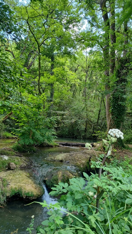 Balade sensorielle et relaxation - Entre eau e ...