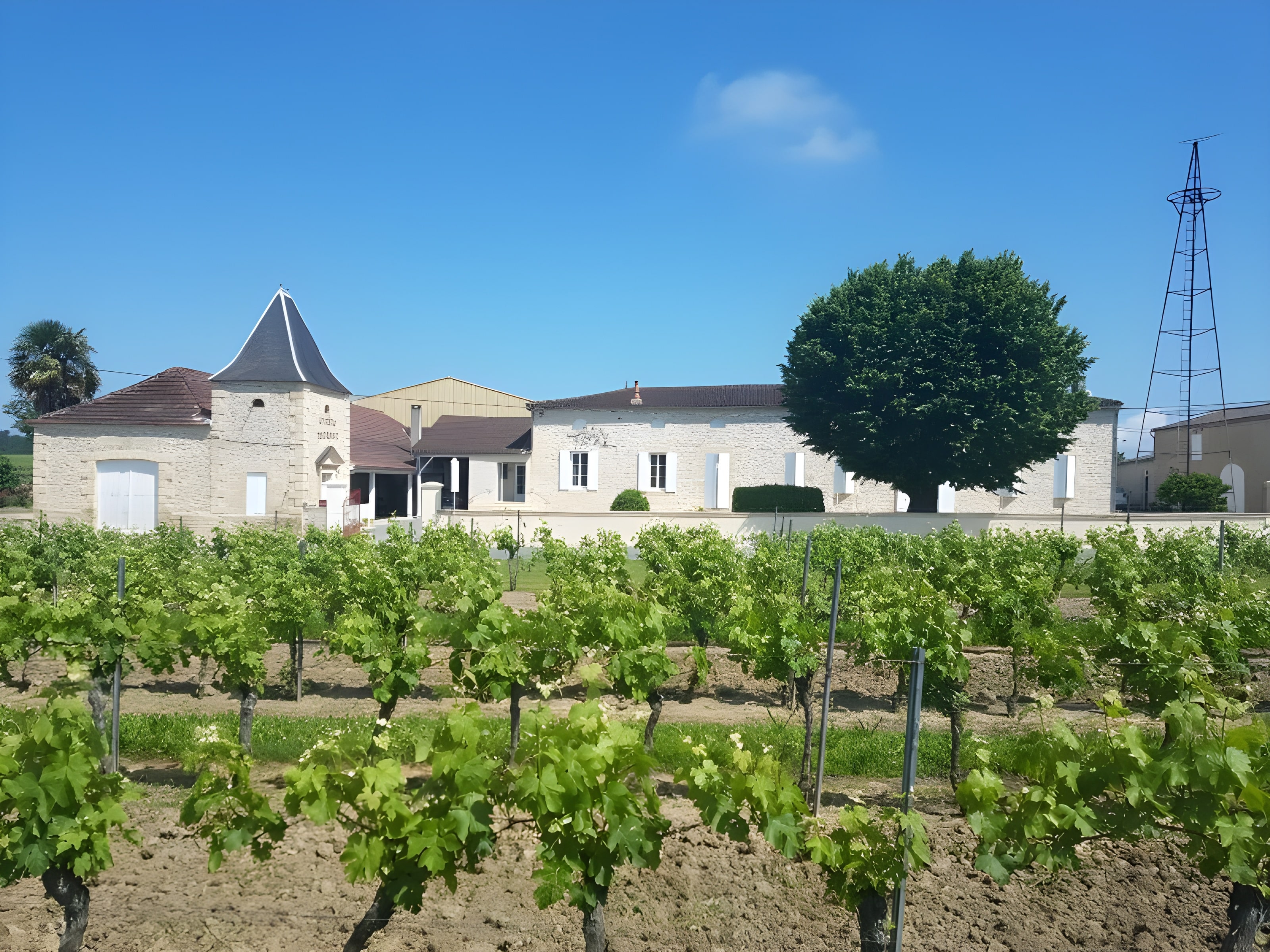 Château Piconat EARL COMIN GUICHENEY