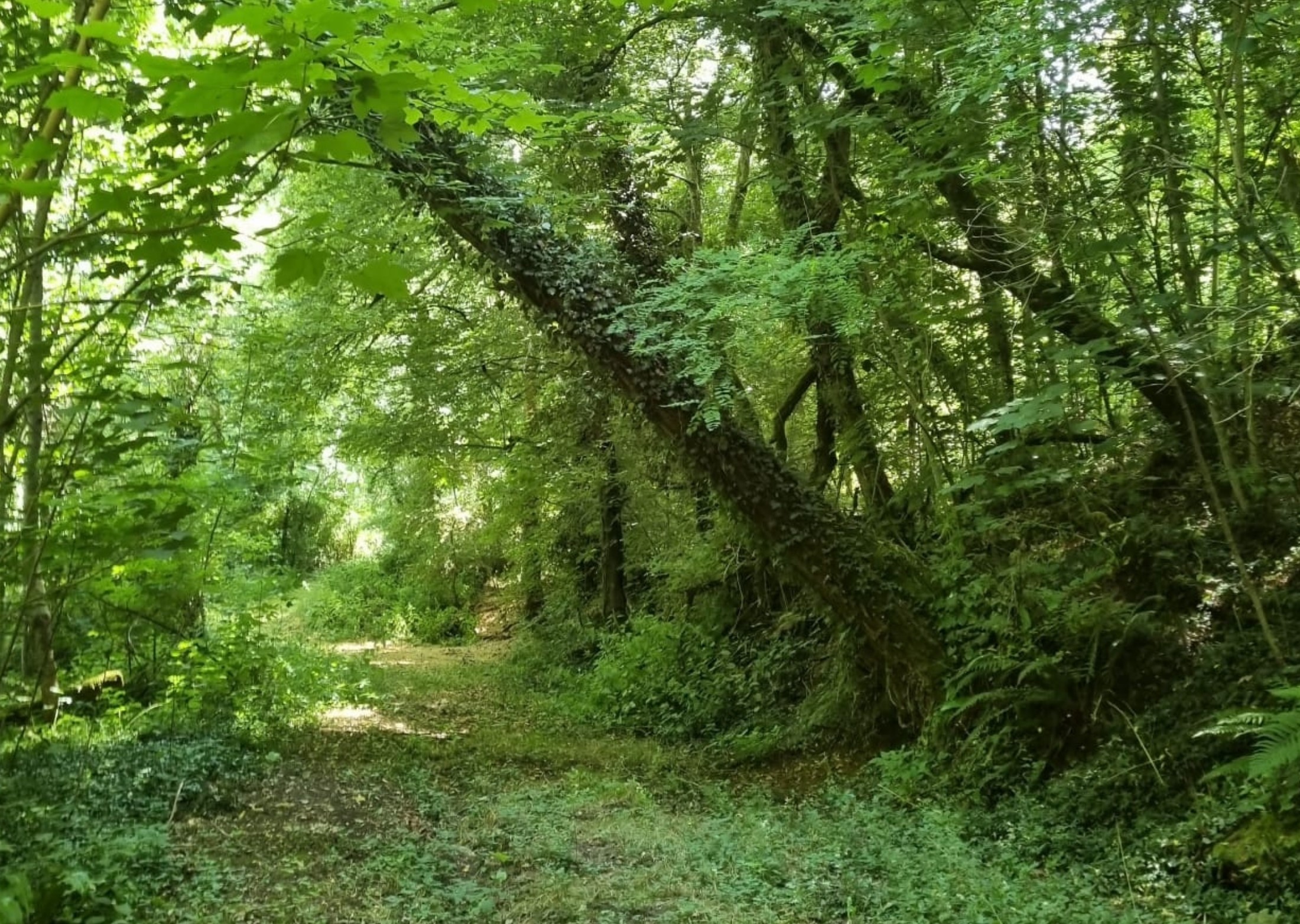 Nature et détente