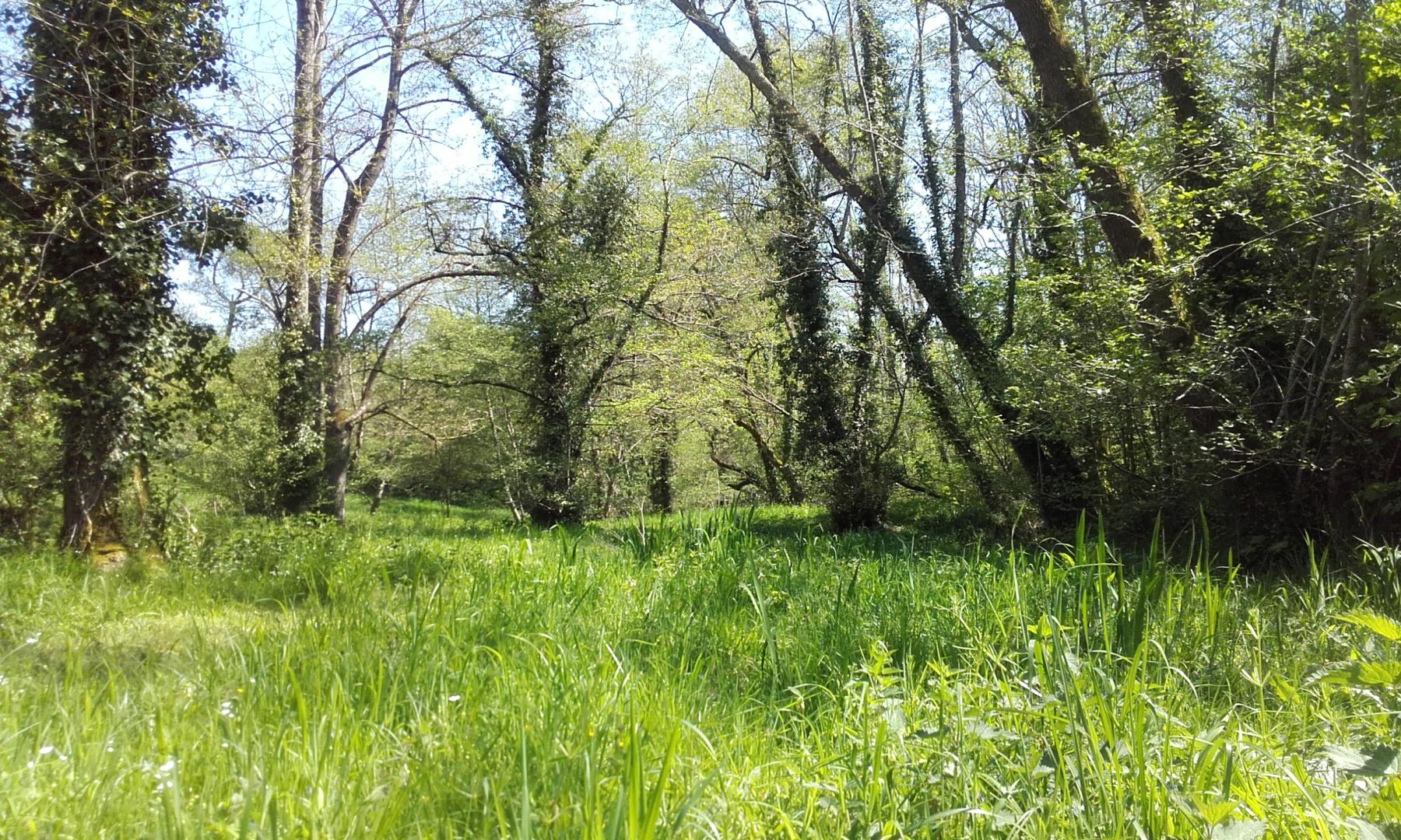 Gîtes de France Gironde