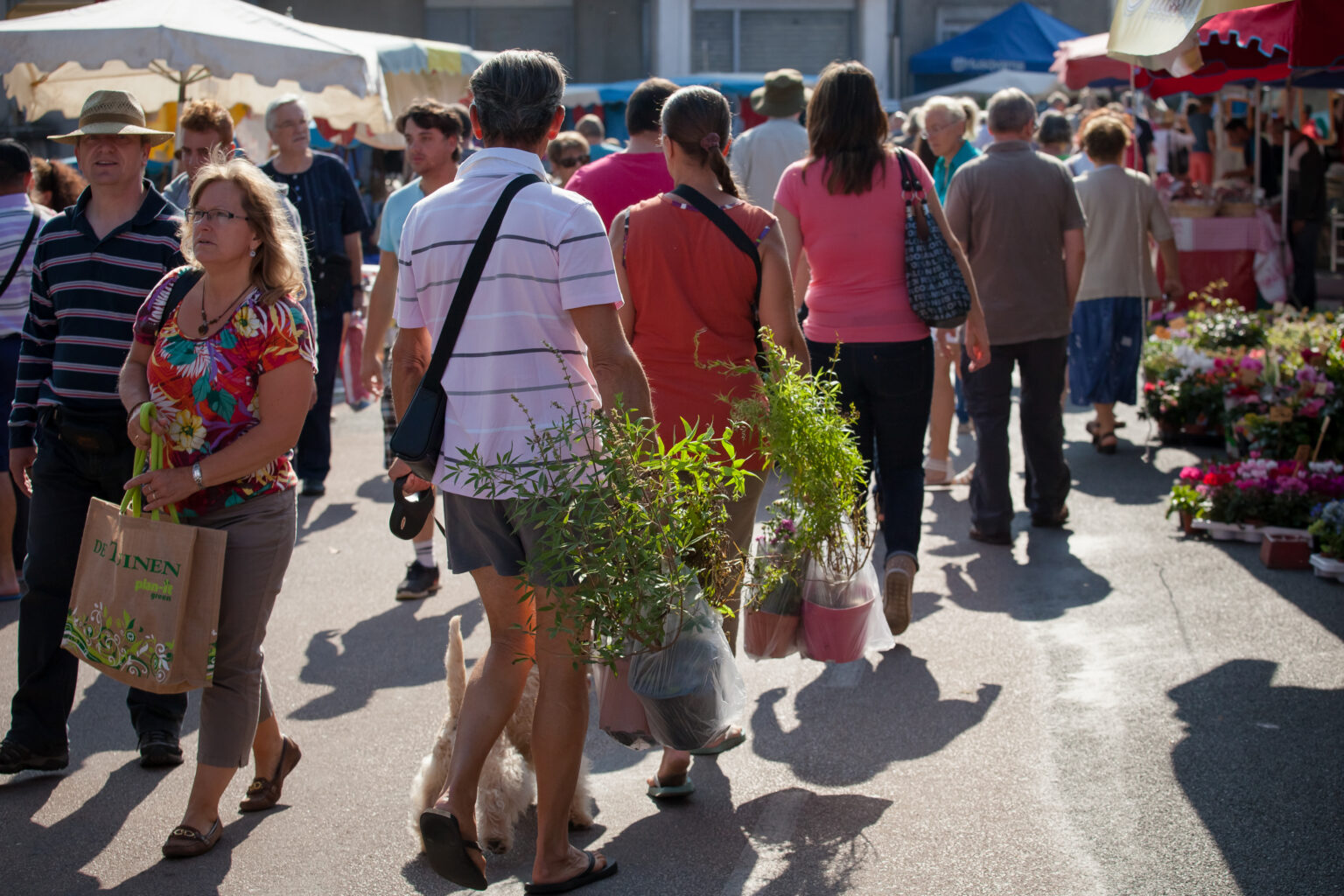 Marché traditionnel