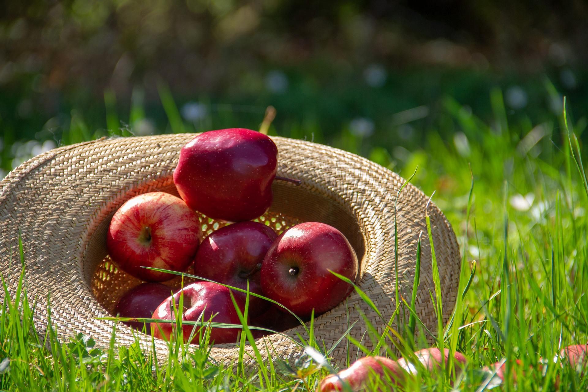 Marché de producteurs et créateurs