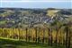 Vignobles de Cuqueron - Crédit: @Sirtaqui Cf. Office de Tourisme Cœur de Béarn