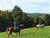 Lembeye : la vallée du Vic-Bilh ... - Crédit: @Sirtaqui Cf. Syndicat mixte du tourisme Nord Béarn