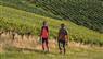 Crouseilles : entre vignes et c ... - Crédit: @Sirtaqui Cf. Syndicat mixte du tourisme en Nord Béarn