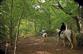 Malaussanne : Du moulin - à cheval - Crédit: @Sirtaqui Cf. Communauté de communes des Luys en Béarn