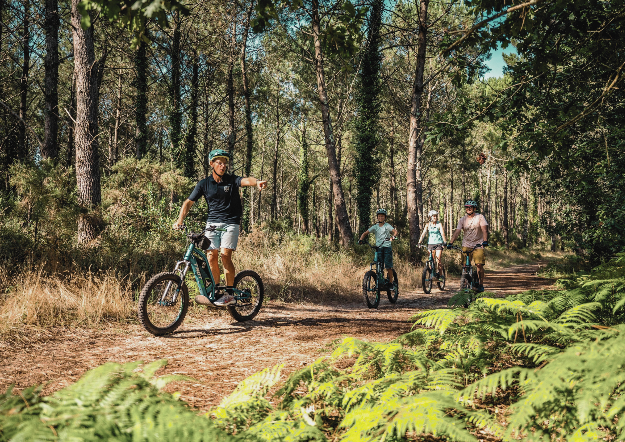 Découverte de la forêt en trottinette électrique