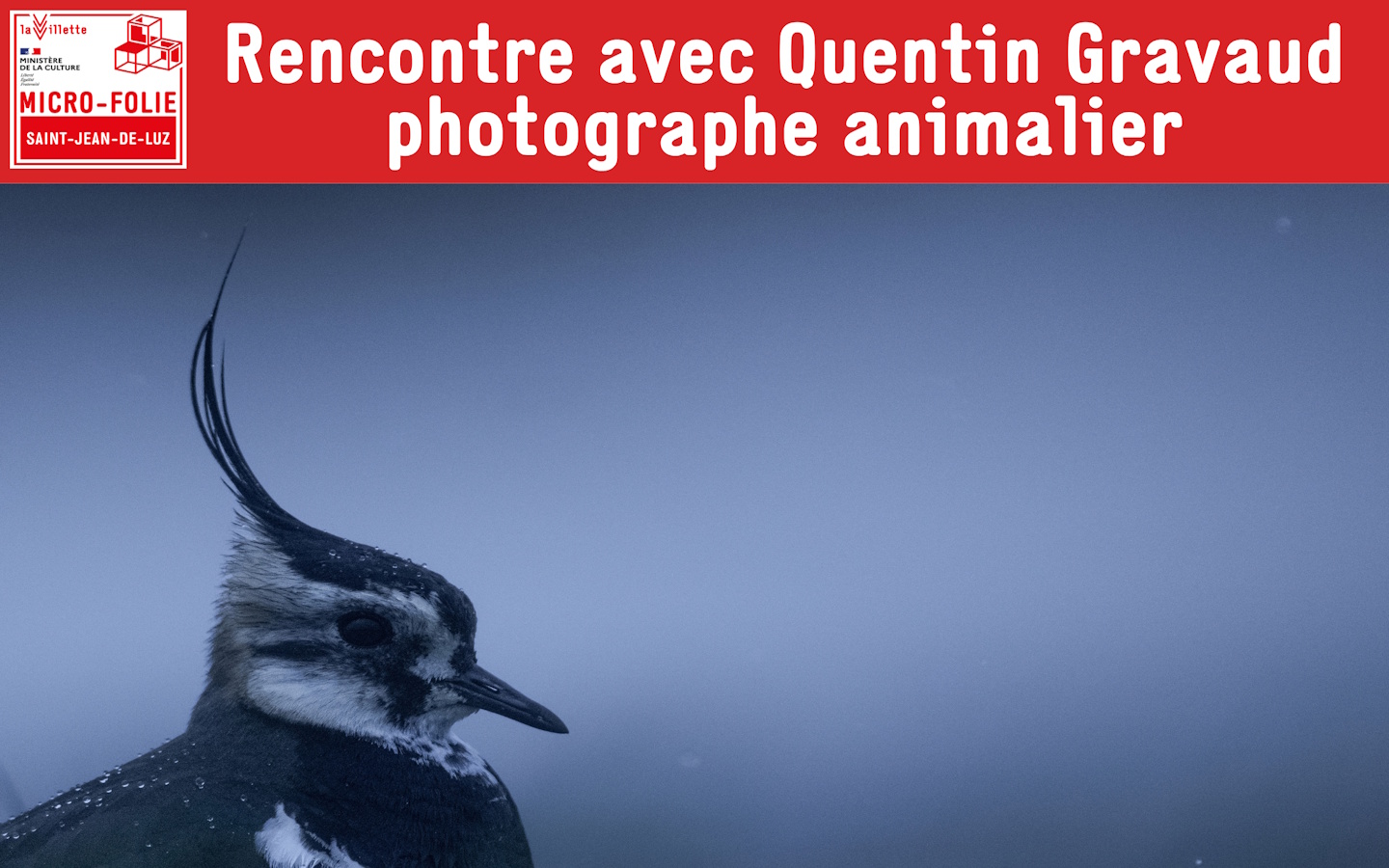 Micro-Folie : Rencontre avec Quentin Gravaud