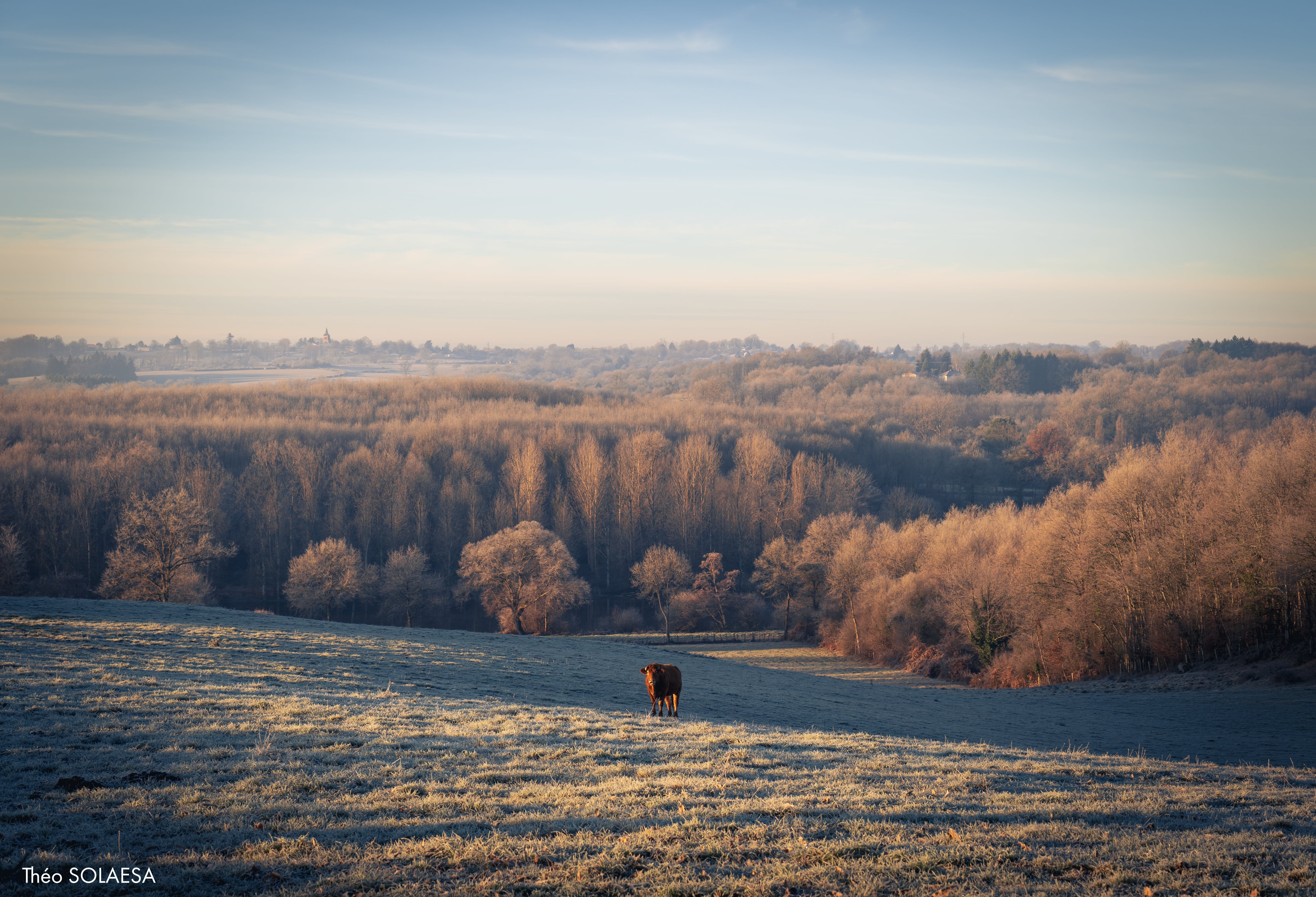 rencontresphotographiqueslimousin