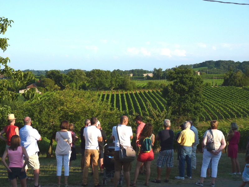 Repas chez le vigneron, au Domaine Dou Bernès