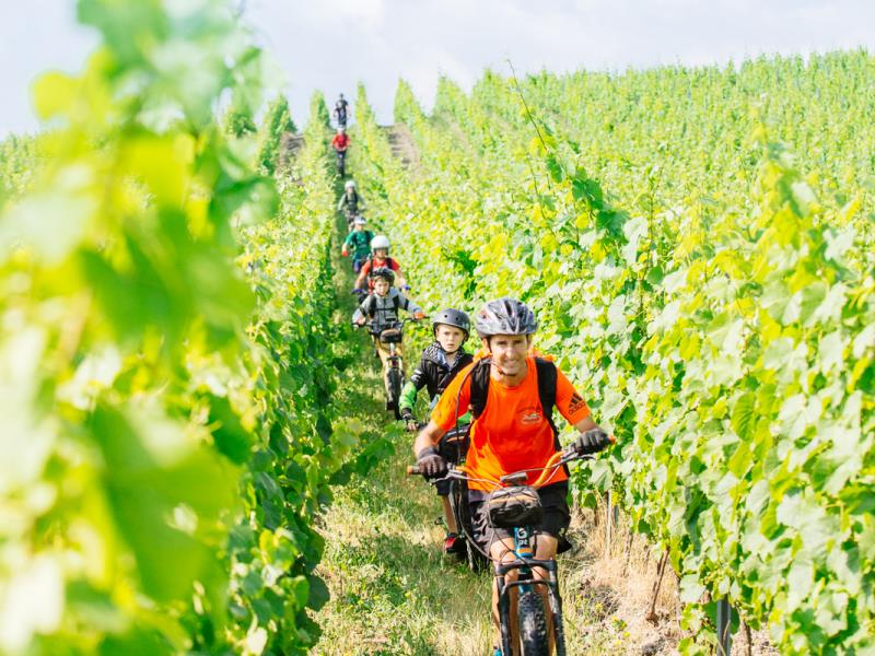 Domaine du Siorac