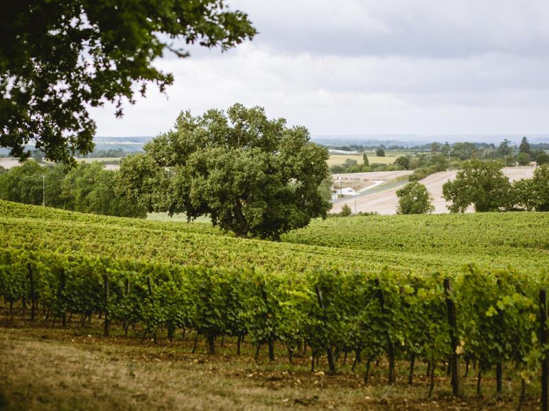 Domaine du Siorac