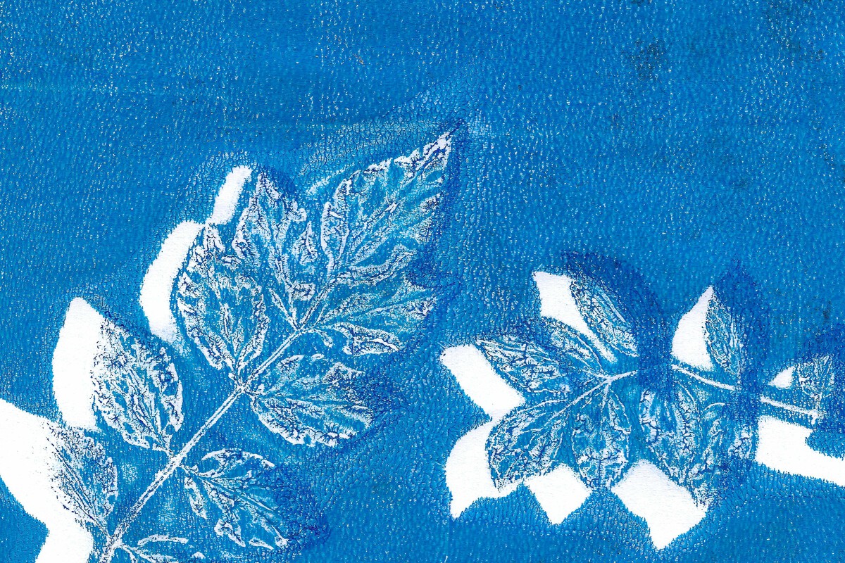 Atelier pour artistes en herbe | Cyanotype ave ...