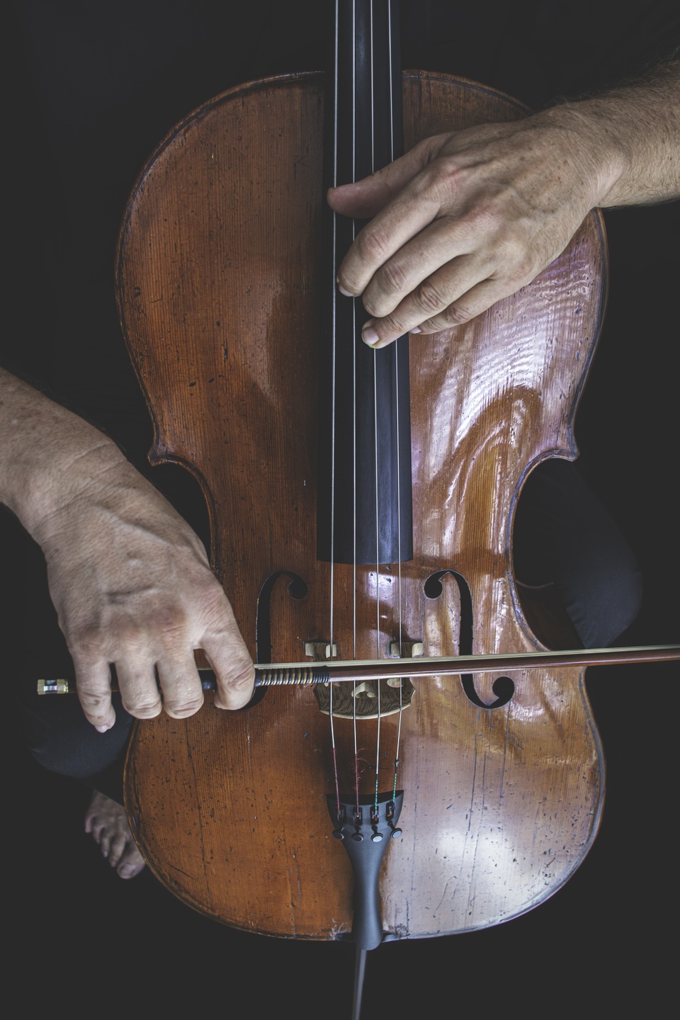 Festival du Périgord Noir : concerto pour viol ...