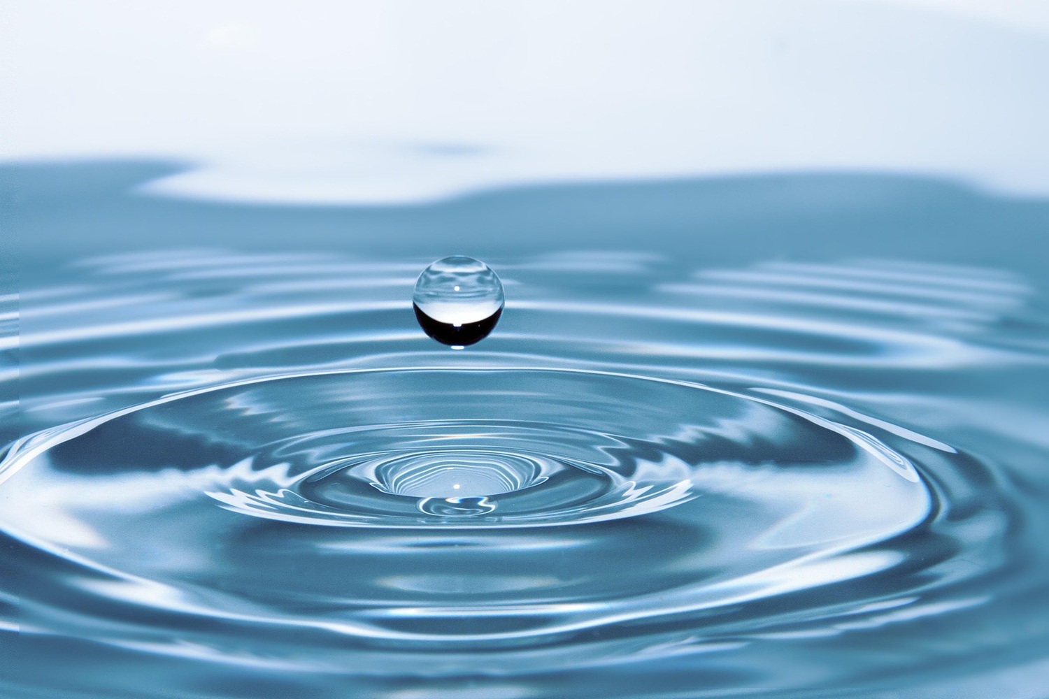 Exposition "L'eau, une richesse à préserver"